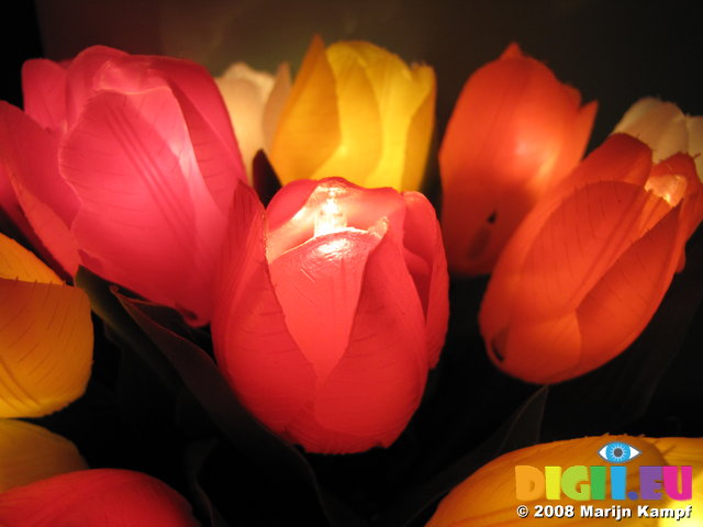 SX00018 Plastic tulip lights